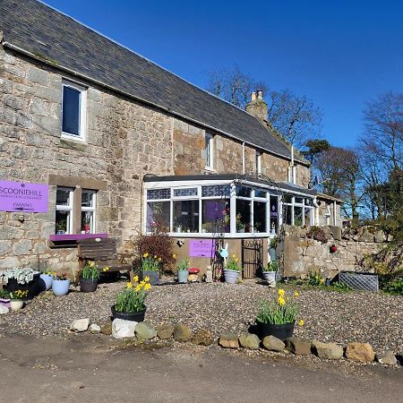 Scooniehill Farm House B&B 圣安德鲁斯 外观 照片