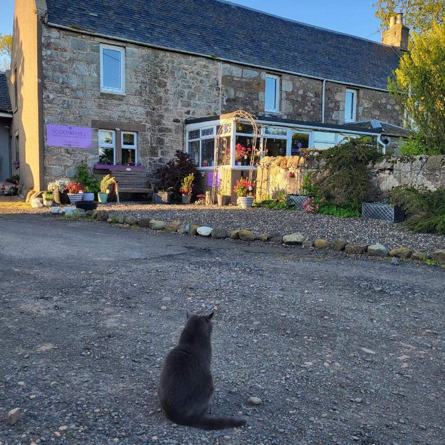 Scooniehill Farm House B&B 圣安德鲁斯 外观 照片