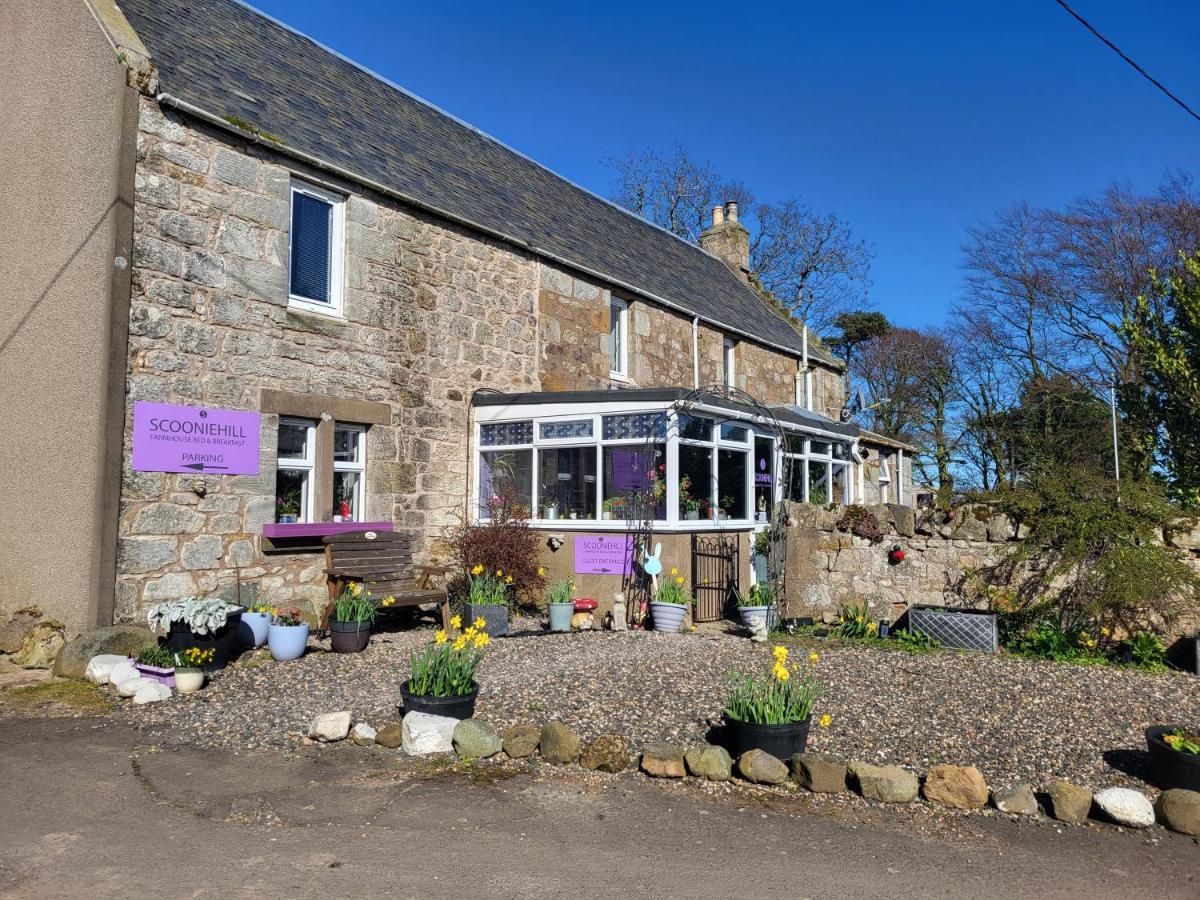 Scooniehill Farm House B&B 圣安德鲁斯 外观 照片