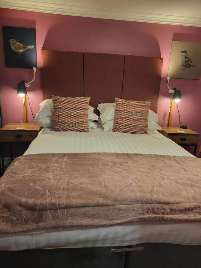 Scooniehill Farm House B&B 圣安德鲁斯 外观 照片