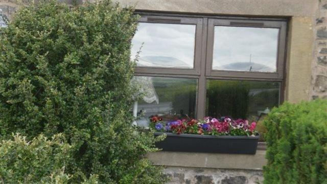 Scooniehill Farm House B&B 圣安德鲁斯 客房 照片